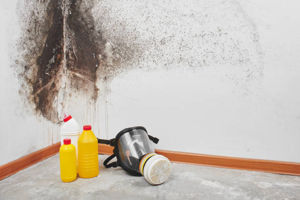 Best Water Damage Restoration  in Rancho Murieta, CA