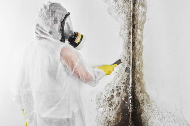 Crawl Space Mold Removal in Rancho Murieta, CA