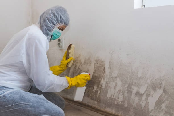 Best Emergency Mold Removal  in Rancho Murieta, CA