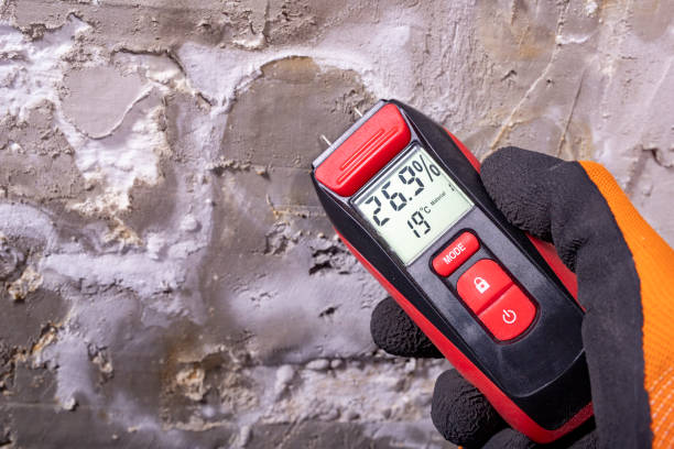 Best Mold Removal Specialists  in Rancho Murieta, CA