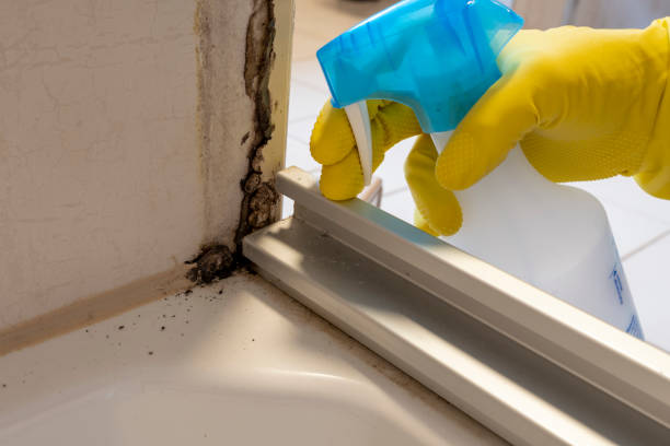 Best Residential Mold Removal  in Rancho Murieta, CA