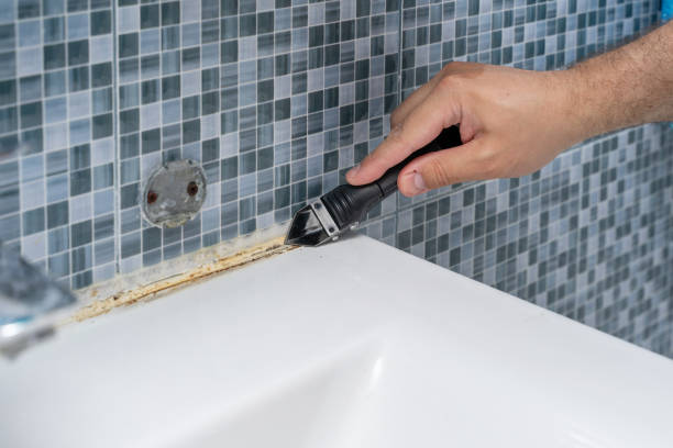 Best Fast Mold Removal  in Rancho Murieta, CA
