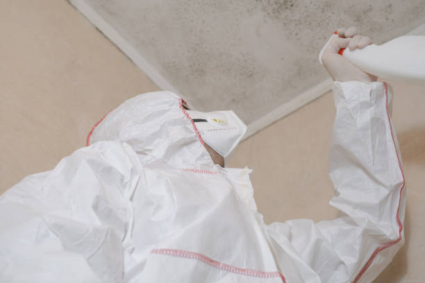 Reliable Rancho Murieta, CA Mold Removal Solutions