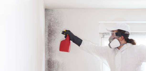 Best Office Mold Removal Services  in Rancho Murieta, CA