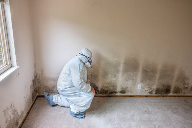 Best Best Mold Removal Companies  in Rancho Murieta, CA