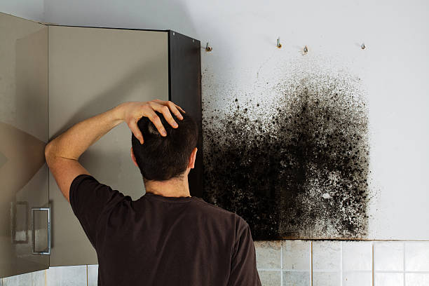 Certified Mold Removal in Rancho Murieta, CA