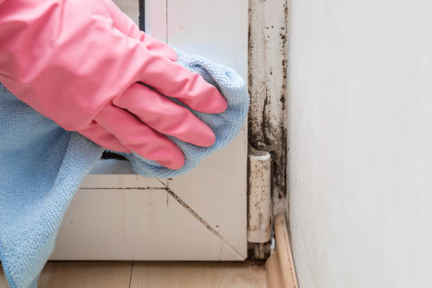 Best Mold Removal and Inspection  in Rancho Murieta, CA