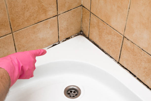 Best Mold Remediation Services  in Rancho Murieta, CA